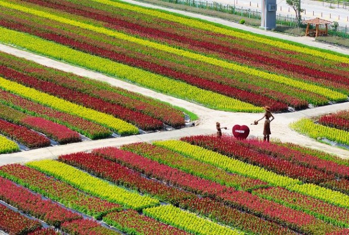 Vườn hoa Goseokjeong