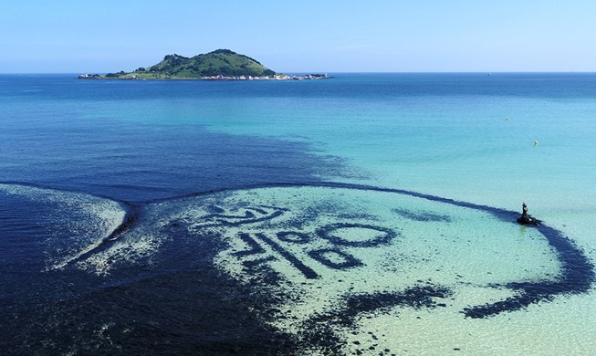 [Hàn Quốc hôm nay] Bức tường đá dưới biển trên đảo Jeju