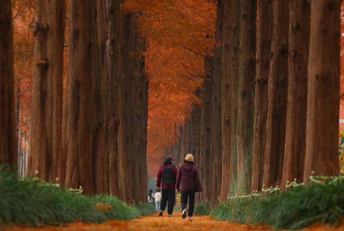 Chìm đắm trong không khí cuối thu