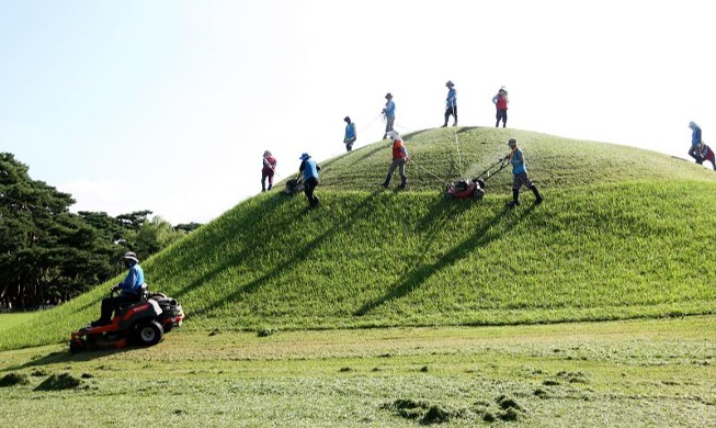 Tảo mộ “Gyeongju Oreung” trước Tết Trung thu