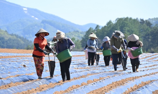 Người lao động nước ngoài bị nợ lương sẽ được miễn trục xuất