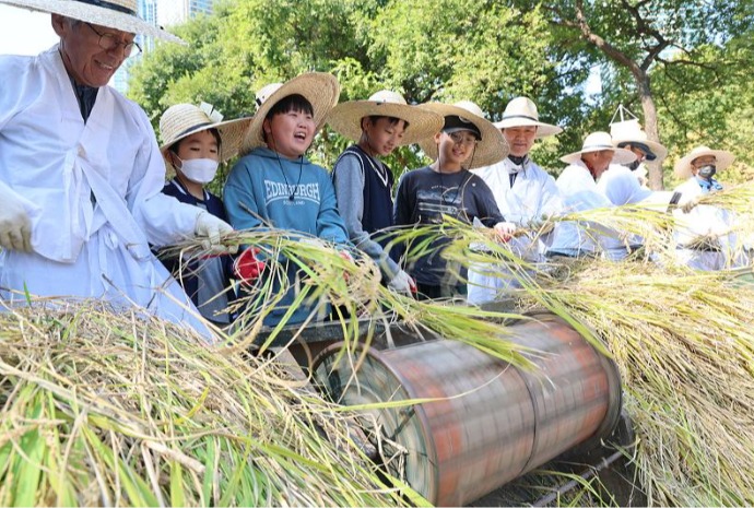 Nhân dịp thu về