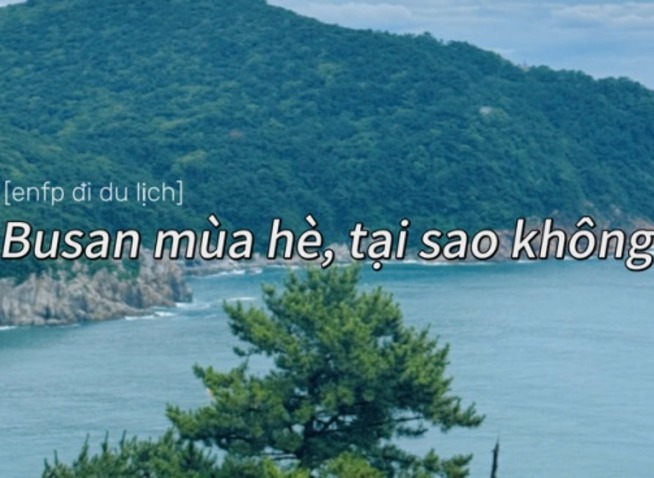 [ENFP đi du lịch] Busan mùa hè, tại sao không?