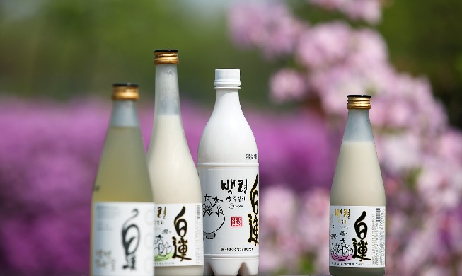 Makgeolli: Từ thứ rượu dân dã đến di sản văn hóa