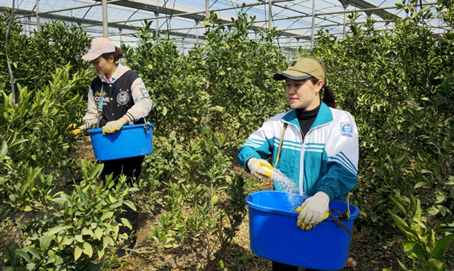 Hàn Quốc bổ sung thêm 20.000 lao động thời vụ nước ngoài vào nửa cuối năm nay