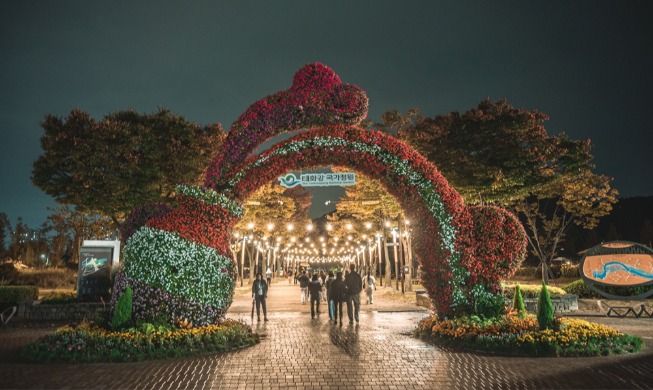 Lễ hội hoa mùa thu tại Vườn quốc gia Taehwagang