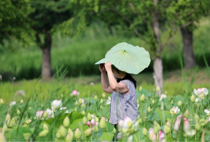 Cách tránh nắng ngày hè