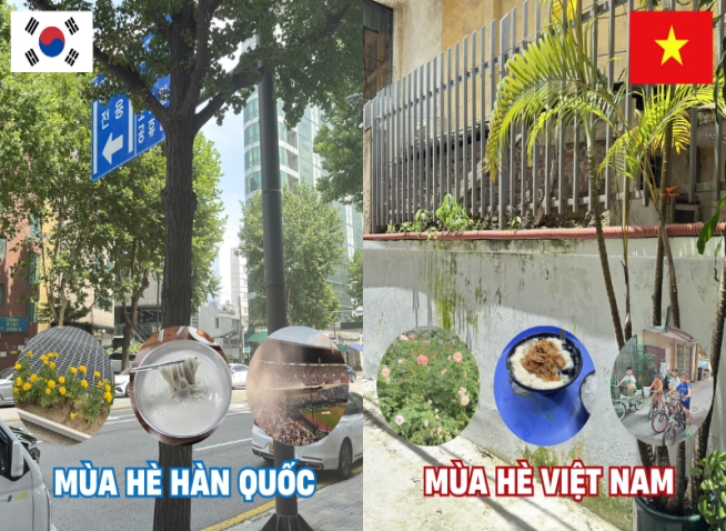 Mùa hè Hàn Quốc và mùa hè Việt Nam: Khám phá những khoảnh khắc rực rỡ và sống động ở hai quốc gia