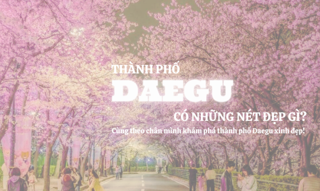 Cùng theo chân mình khám phá thành phố Daegu xinh đẹp !