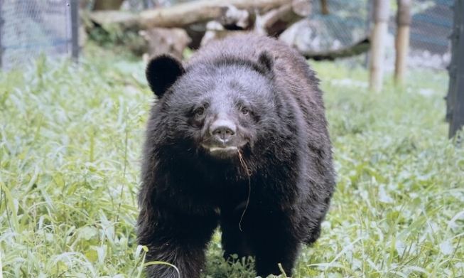 [Bảo vệ động vật tại Hàn Quốc] ② Khu bảo tồn động vật (sanctuary)