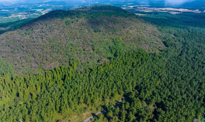 [Tính ưu việt của hành chính công Hàn Quốc] ④ Kỳ tích xanh từ tro tàn - Chính sách phục hồi rừng của Hàn Quốc