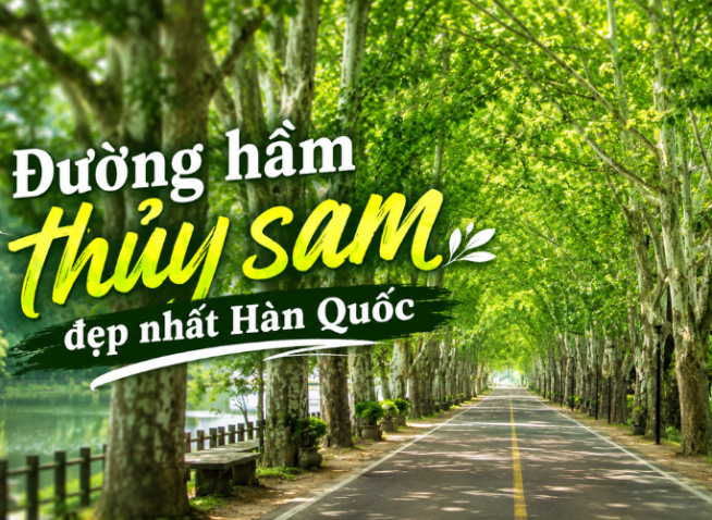 Damyang vào mùa hè: Đi bộ dưới đường hầm thủy sam đẹp nhất Hàn Quốc