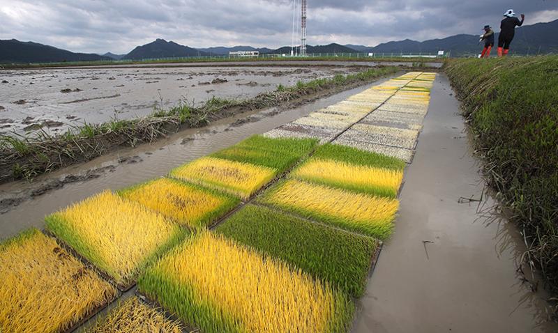 210521_Today on Korea.net_Main