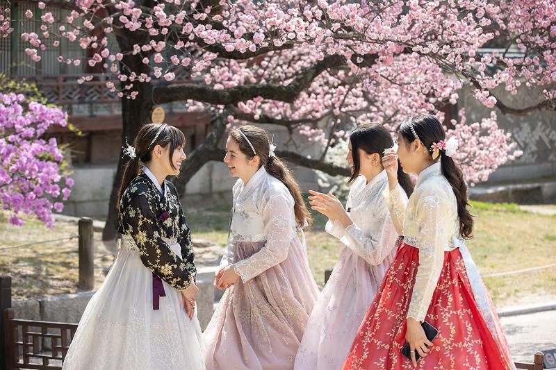 Hình ảnh quan khách nước ngoài mặc Hanbok và tận hưởng không khí mùa Xuân tại cung điện Changdeokgung (Seoul) hôm 29/03 vừa qua. (Ảnh: Kim Sunjoo / Korea.net)