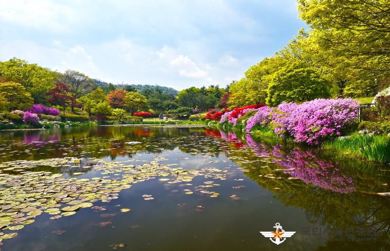 Con suối Hyeonchung-cheon chảy qua trung tâm công viên Nghĩa trang Quốc gia Seoul ở quận Dongjak-gu, thủ đô Seoul, Hàn Quốc. (Ảnh: Nghĩa trang Quốc gia Seoul)