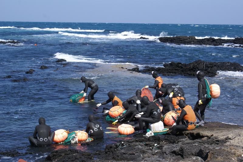 Hình ảnh của các nữ thợ lặn Haenyeo (hải nữ) ở đảo Jeju. (Ảnh: Chính quyền tỉnh tự trị đặc biệt Jeju)