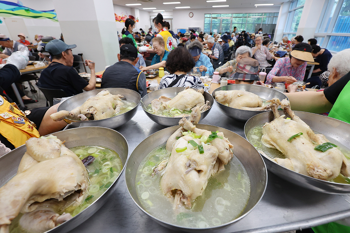 Sáng ngày 15/7, tức là ngày Chobok, chi nhánh thành phố Incheon của Hội chữ thập đỏ Hàn Quốc đã tổ chức một sự kiện trao tặng món Samgyetang (gà hầm sâm).