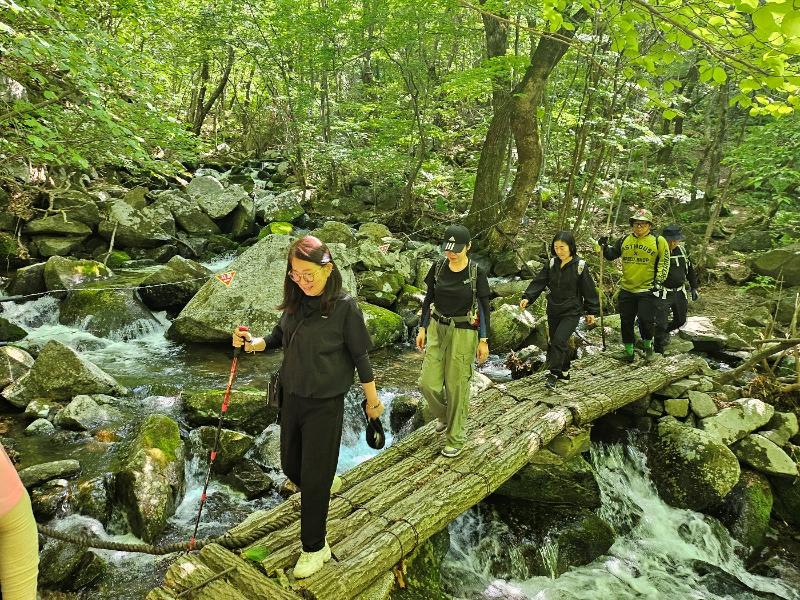 Du khách đến rừng Punch Bowl nằm ở Khu phi quân sự (DMZ), quận Yanggu-gun, tỉnh Gangwon-do. (Ảnh: Tổng cục Lâm nghiệp Hàn Quốc)
