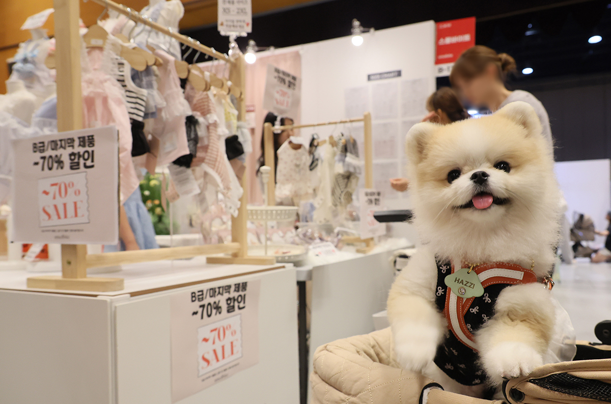 gày 23/8, Hội chợ triển lãm K-Pet Fair 2024 đã chính thức khai mạc tại Trung tâm hội nghị và triển lãm COEX, quận Gangnam-gu, thành phố Seoul. 