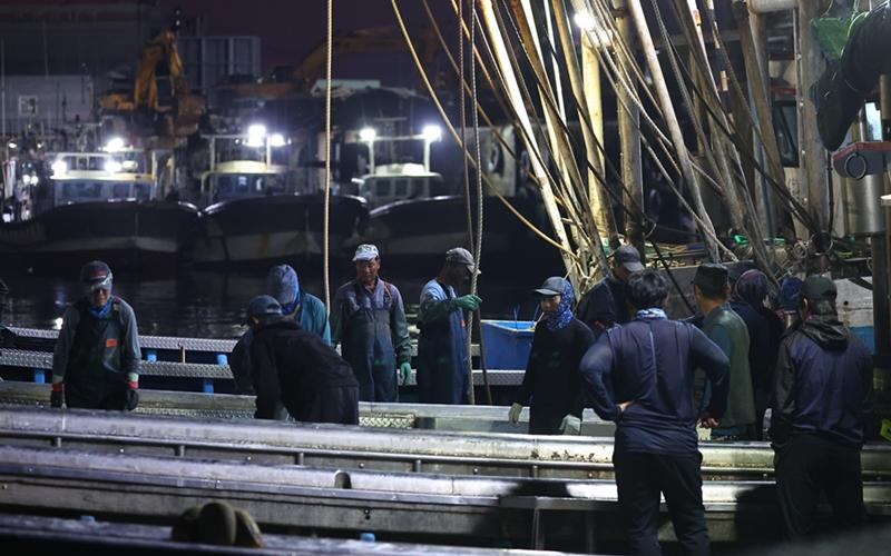Các lao động ngành ngư nghiệp chuẩn bị xuất cảng ở quận Ongjun-gun, thành phố Incheon vào sáng ngày 26/6/2024. (Ảnh: Yonhap News) 