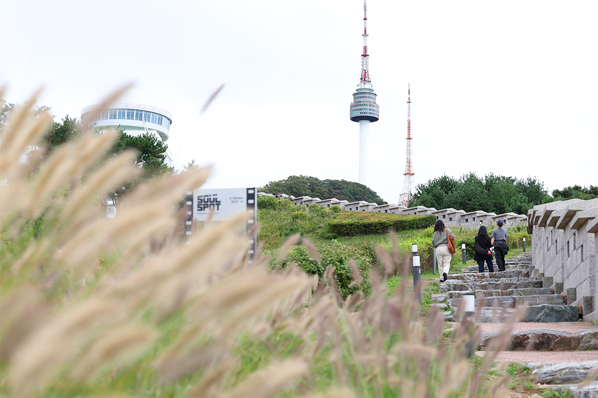 Ngày 14/10/2025, người dân Hàn Quốc đã đến Công viên Namsan, quận Jung-gu (Seoul) để tận huởng không khí mùa thu lãng mạn. (Ảnh: Lee Jeong Woo / Korea.net)