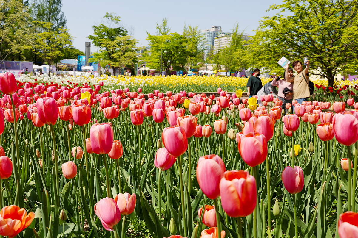 today_photo_260430
