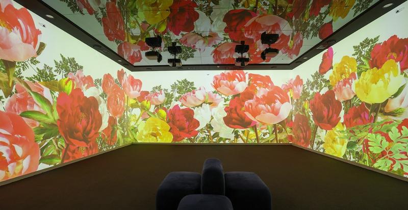T&aacute;c phẩm media art hoa mẫu đơn được tr&igrave;nh chiếu&nbsp;tại Sarangchae Nh&agrave; Xanh ở Seoul. Trong nghệ thuật truyền thống H&agrave;n Quốc, hoa mẫu đơn tượng trưng cho ph&uacute; qu&yacute; v&agrave; vinh hoa. (Ảnh: Park Daejin / Korea.net)