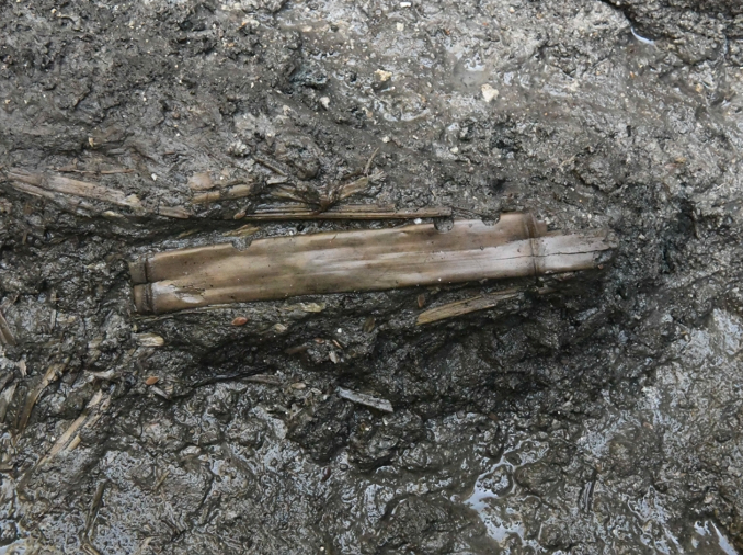 Phát hiện sáo Baekje 1.500 năm tuổi và 329 thẻ gỗ tại di tích xã Gwanbuk-ri