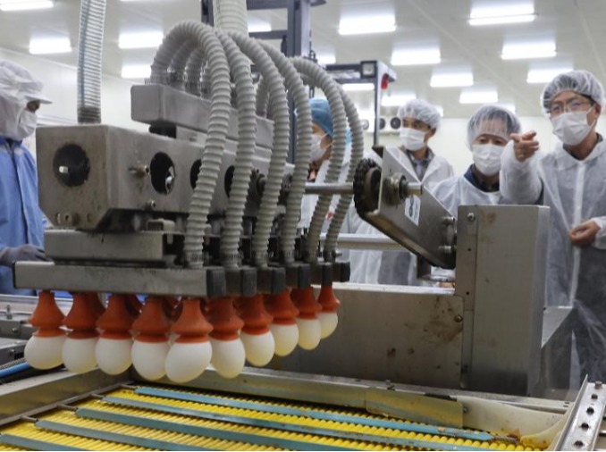 WHO công nhận an toàn thực phẩm Hàn Quốc ở mức hàng đầu thế giới