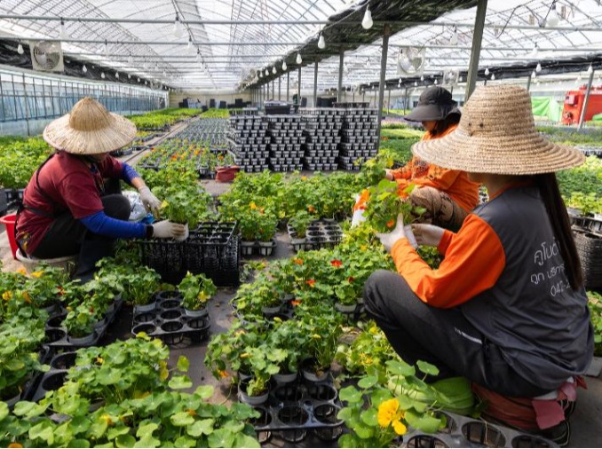 Bộ Việc làm và Lao động nâng cao quyền lợi cho người lao động nhập cư