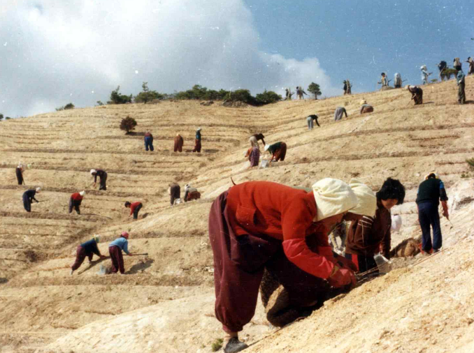 Những ghi chép về lịch sử Hàn Quốc có thể được UNESCO công nhận là Di sản tư liệu thế giới