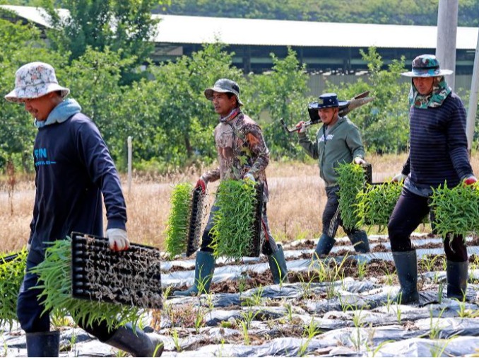 Miễn nghĩa vụ tham gia bảo hiểm chăm sóc dài hạn cho lao động thời vụ nước ngoài
