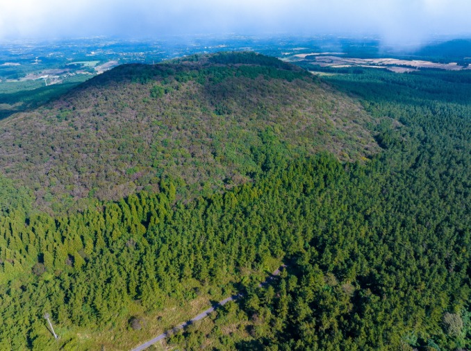 [Tính ưu việt của hành chính công Hàn Quốc] ④ Kỳ tích xanh từ tro tàn - Chính sách phục hồi rừng của Hàn Quốc