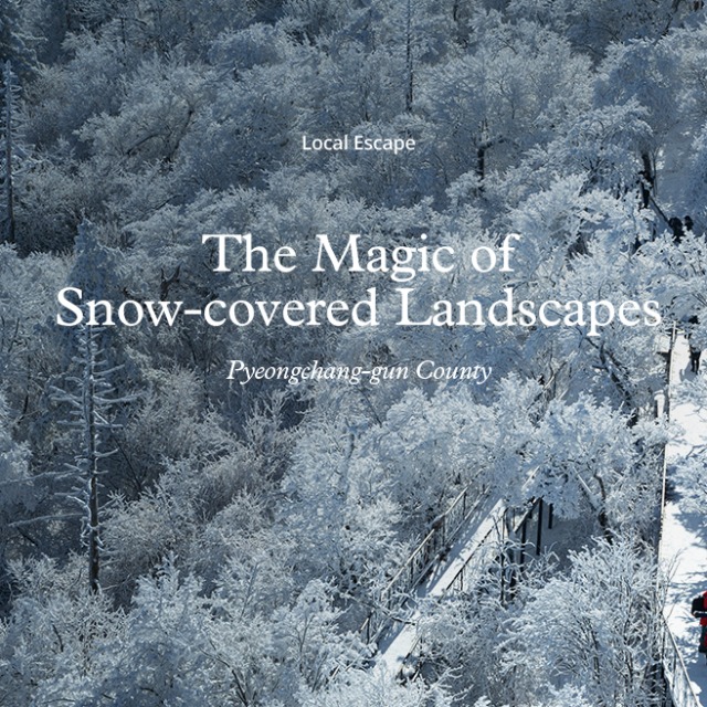 [Local Escape] Pyeongchang-gun County, The Magic of Snow-covered Landscapes main img